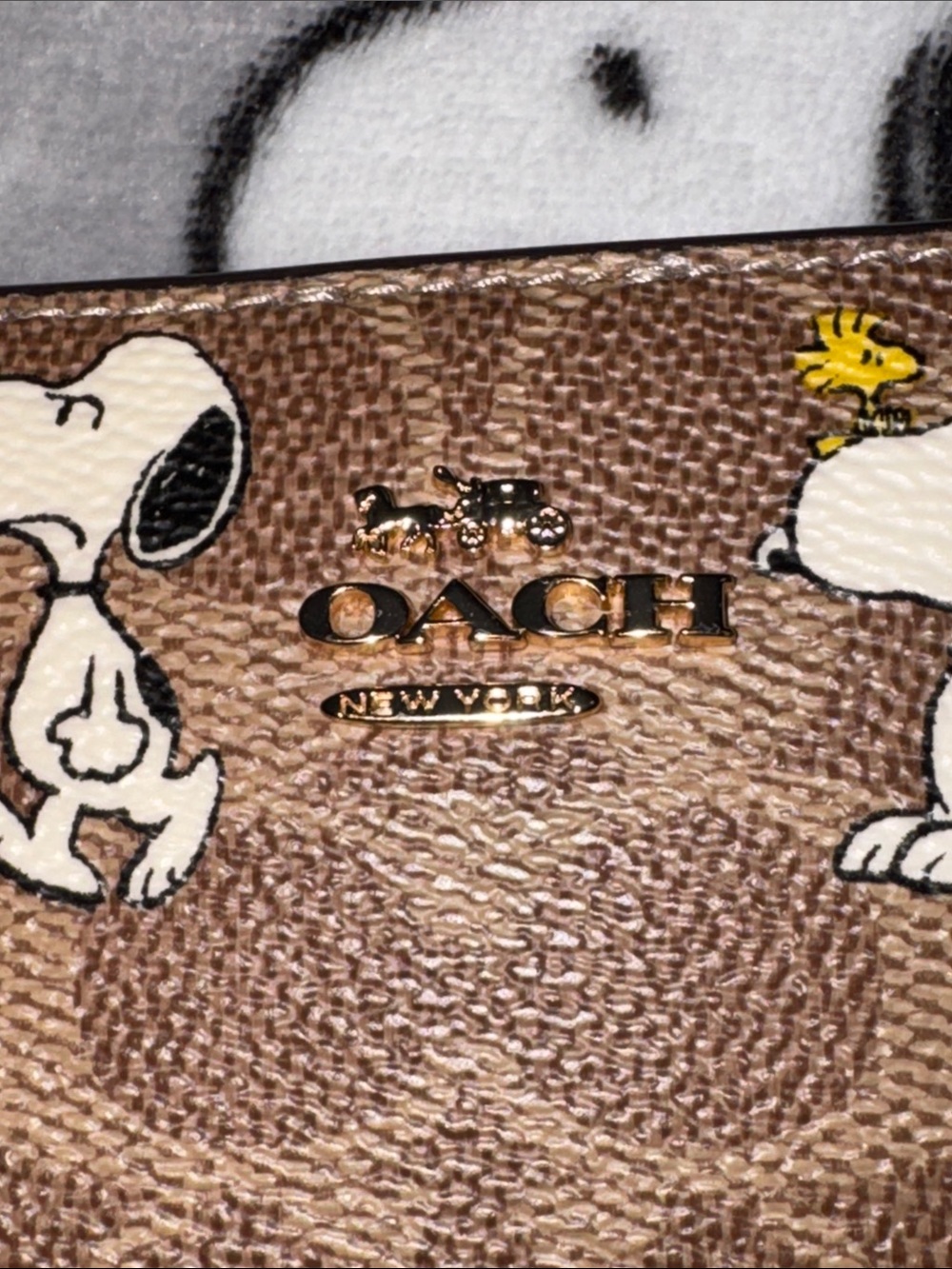 Coach X Peanuts Snap Wallet - Picture 3 of 7